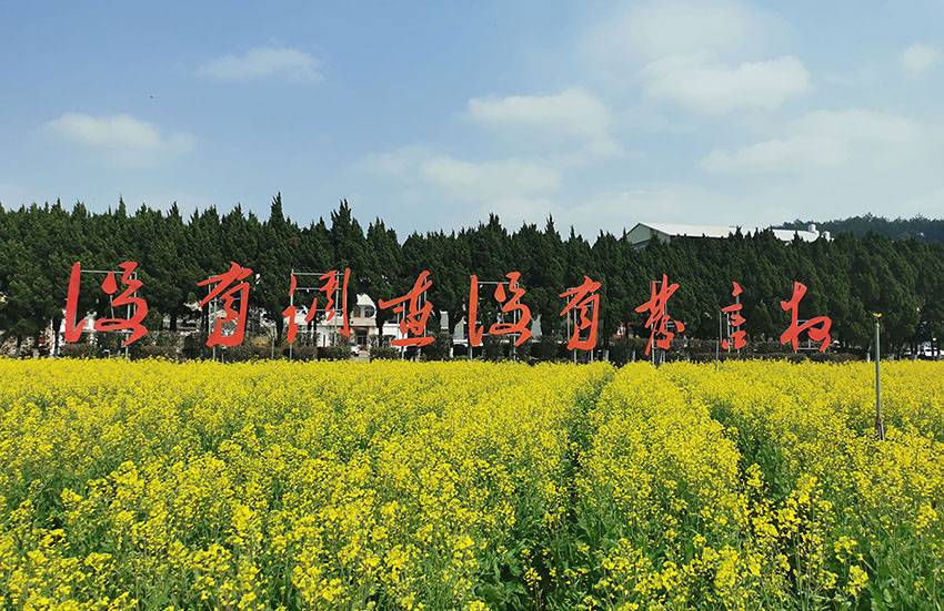 红军公田3.jpg