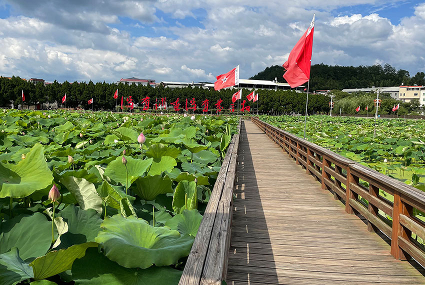 红军公田4.jpg