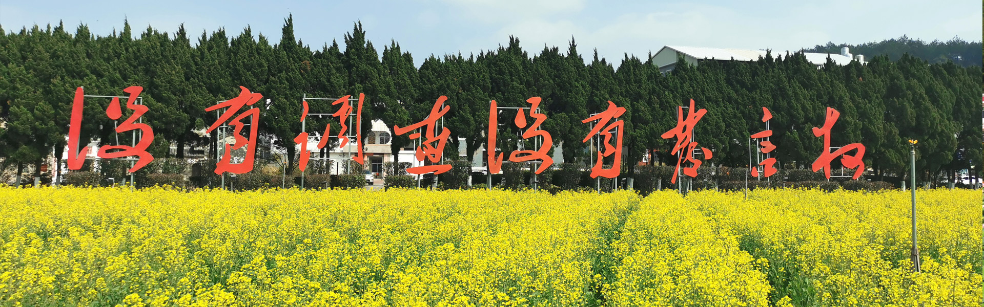 上杭才溪景区旅游发展有限公司