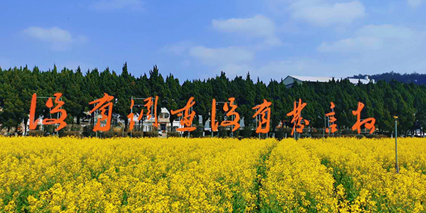 红军公田